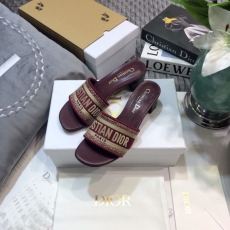 Christian Dior Slippers